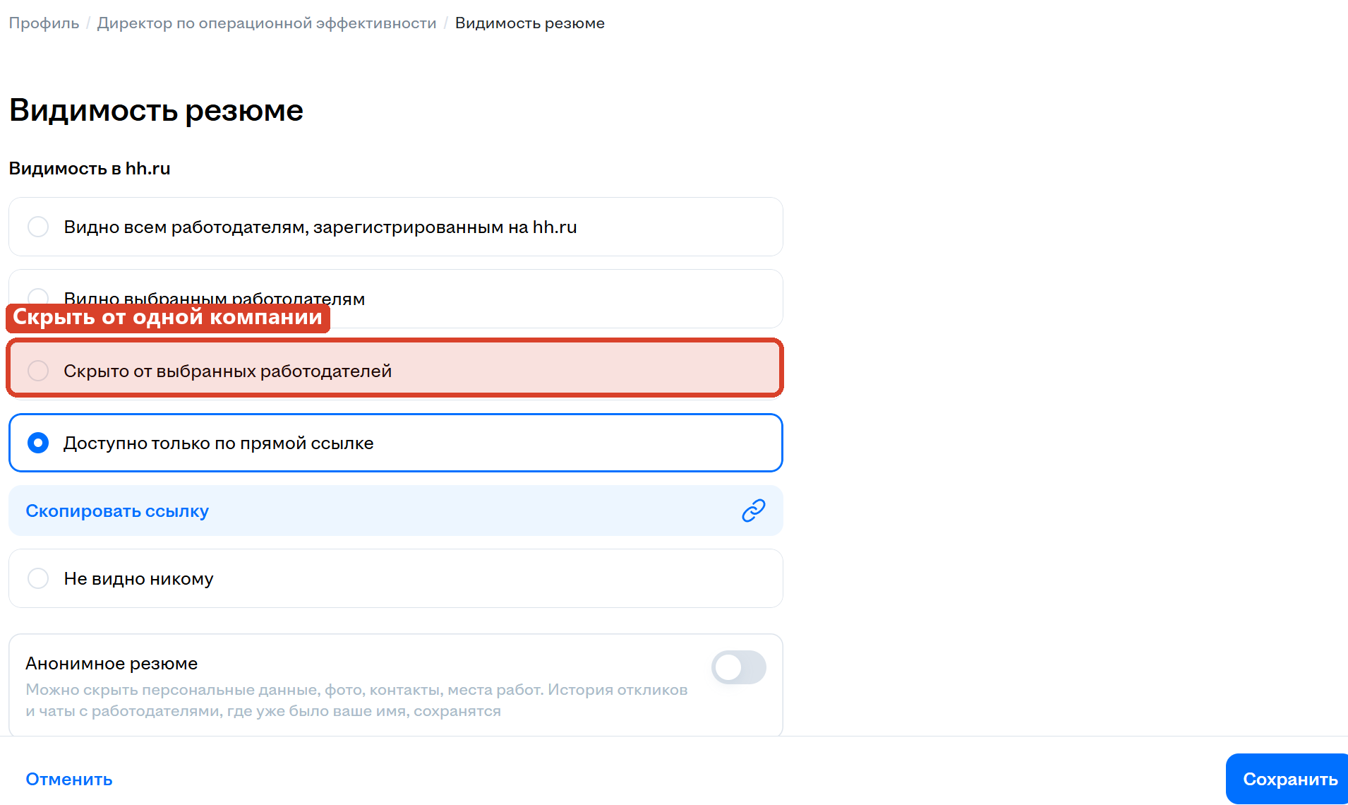 Экран настроек видимости резюме на hh.ru: пять вариантов от «Видно всем работодателям» до «Не видно никому», с выделенным пунктом «Скрыто от выбранных работодателей»